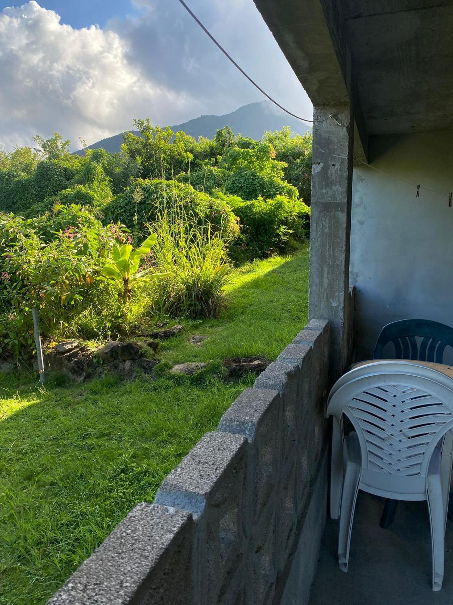 Coconut House Charlestown Nevis Lägenhet Exteriör bild