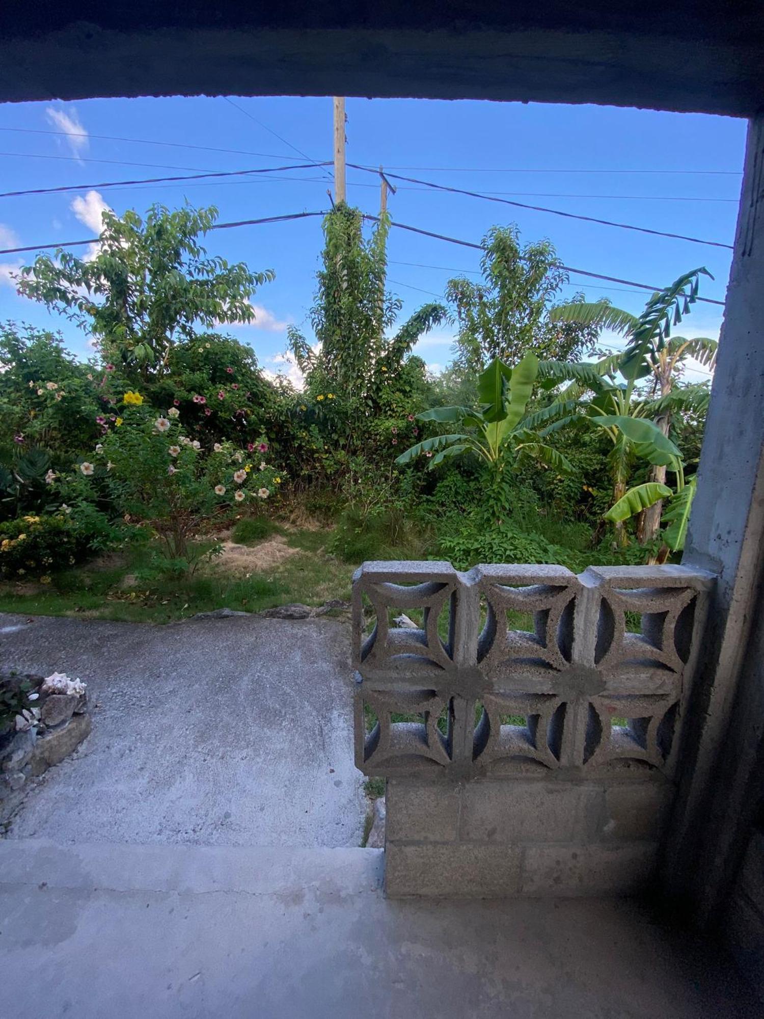 Coconut House Charlestown Nevis Lägenhet Exteriör bild