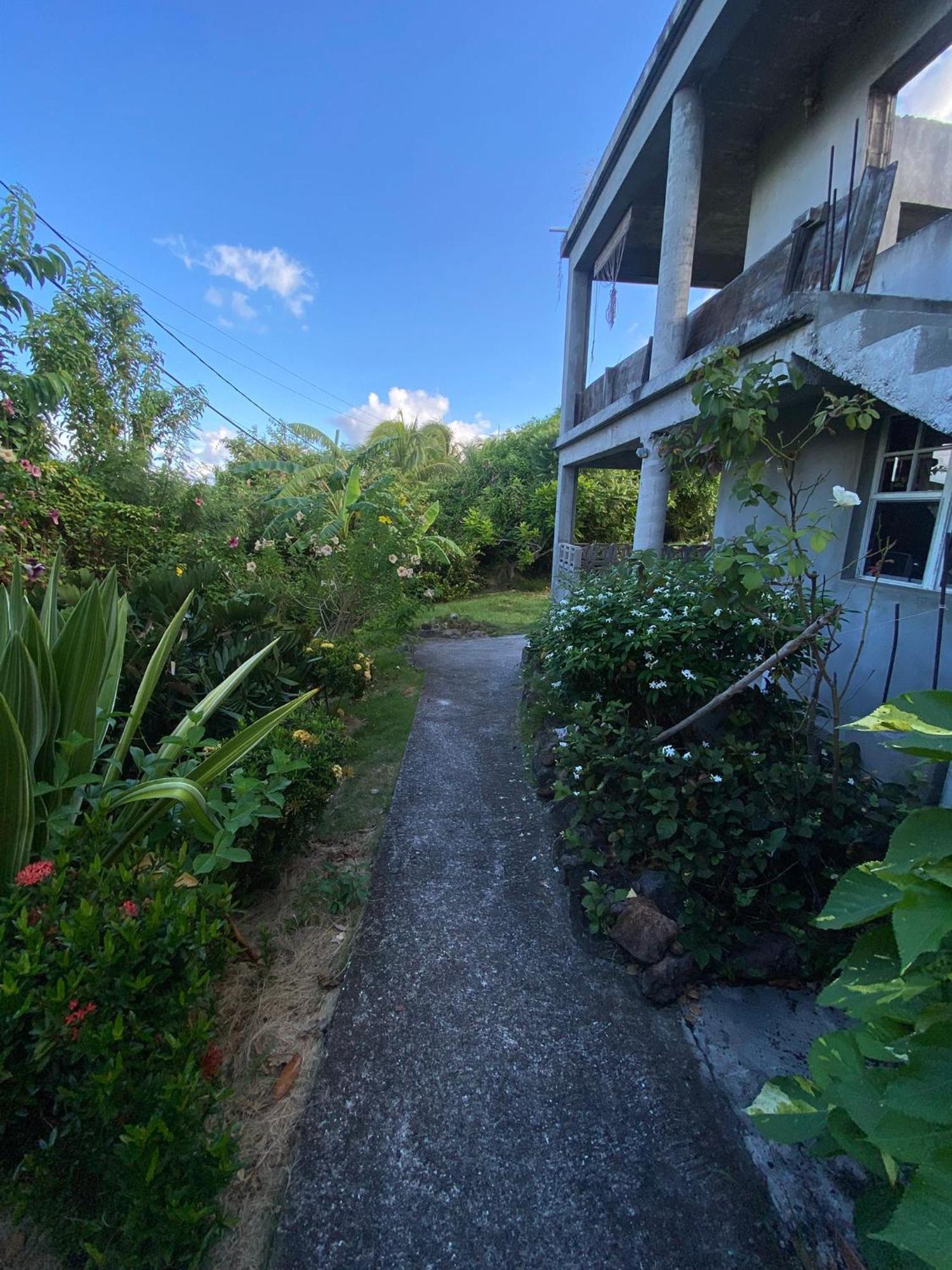 Coconut House Charlestown Nevis Lägenhet Exteriör bild
